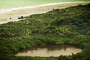 Portoriko 2010 - DSC_15664.jpg (117)
 21:26, 31. 1. 2010, 200 mm, 1/500 s, f/4.8